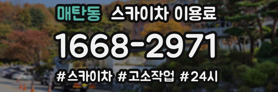 매탄동 스카이차 이용료