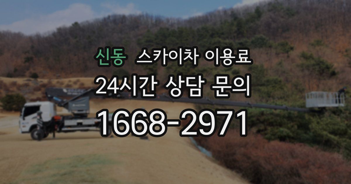 신동 스카이차 이용료