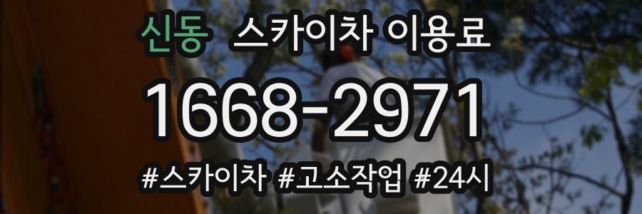 신동 스카이차 이용료