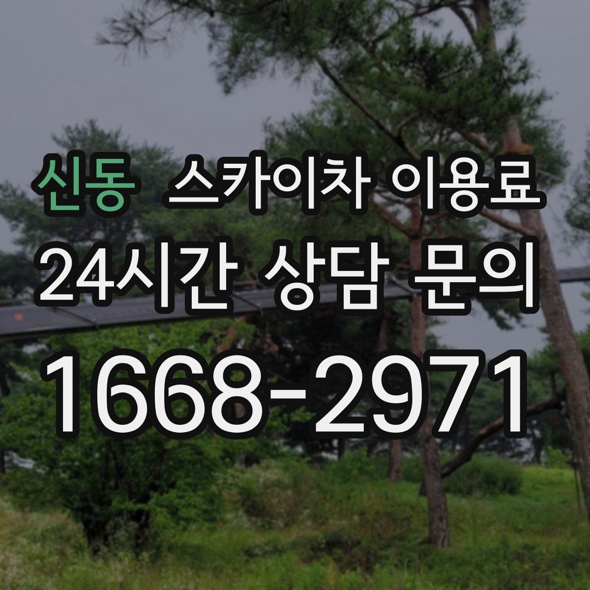 신동 스카이차 이용료