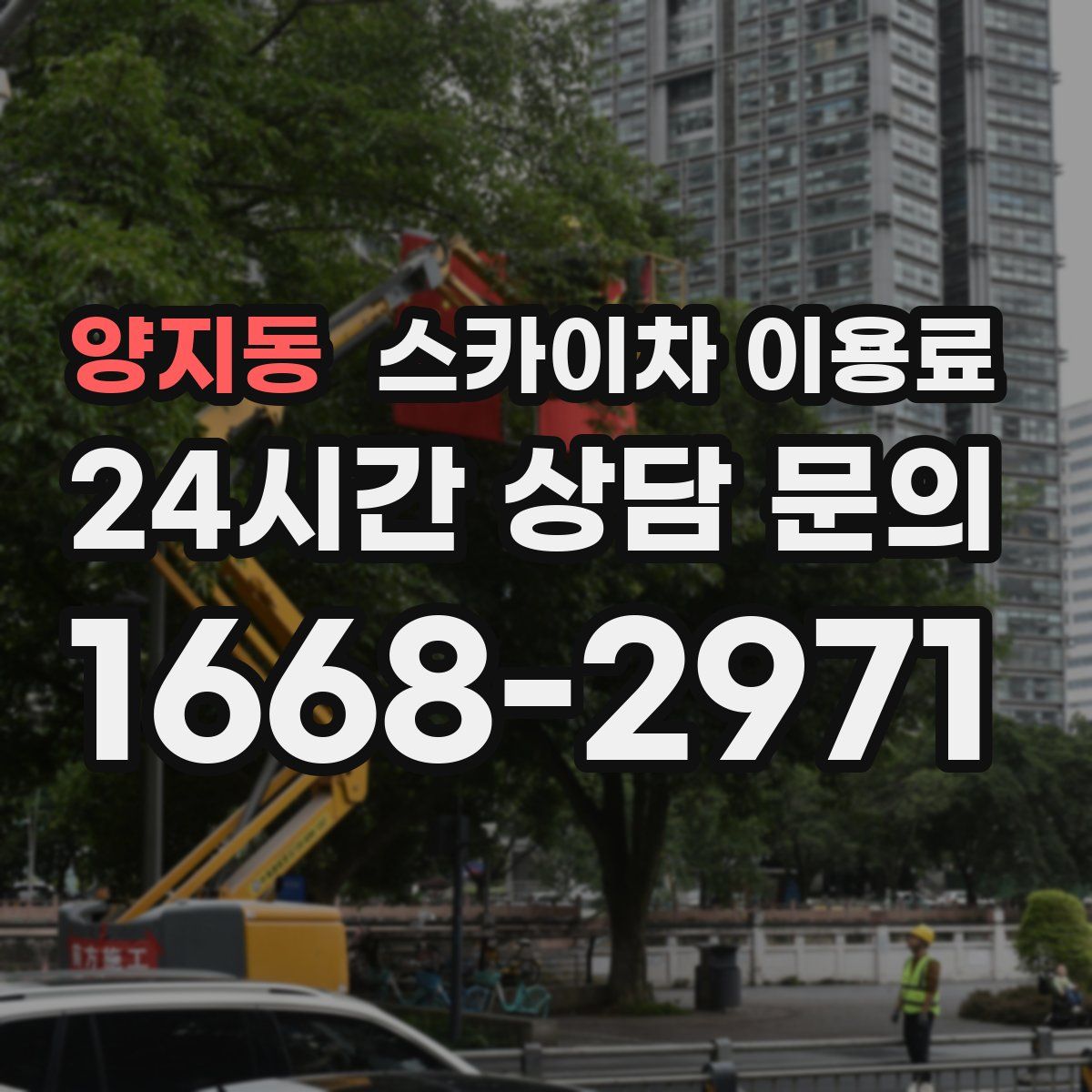 양지동 스카이차 이용료
