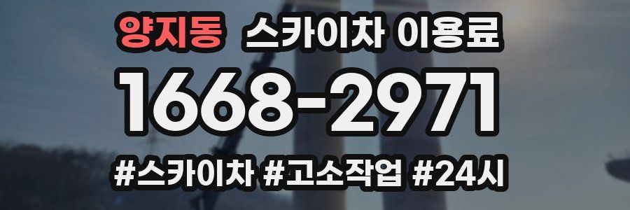 양지동 스카이차 이용료