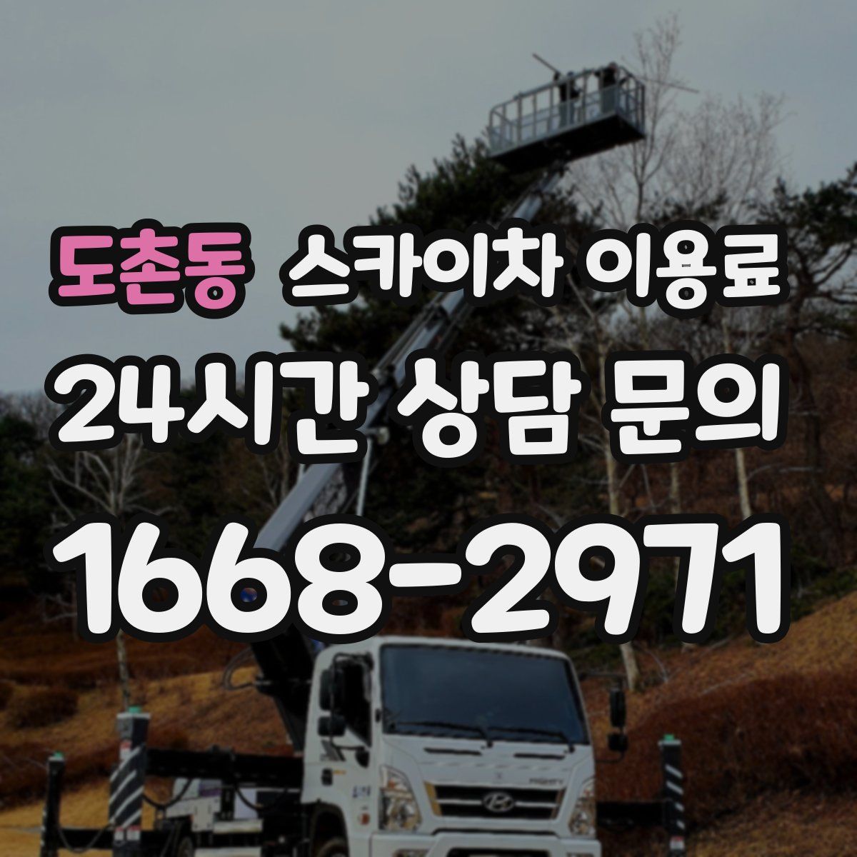 도촌동 스카이차 이용료