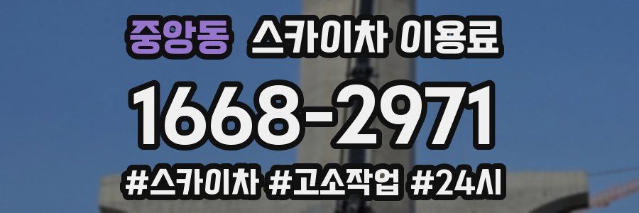 중앙동 스카이차 이용료