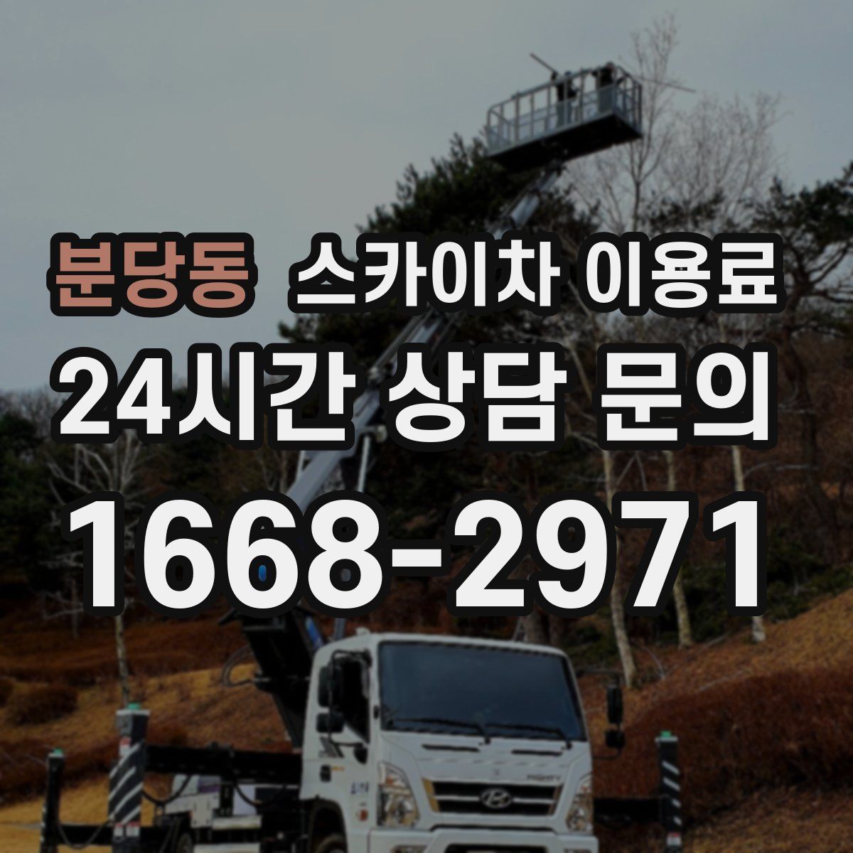 분당동 스카이차 이용료