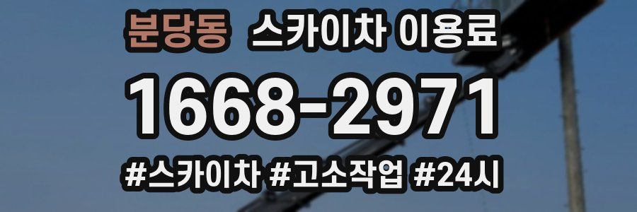 분당동 스카이차 이용료