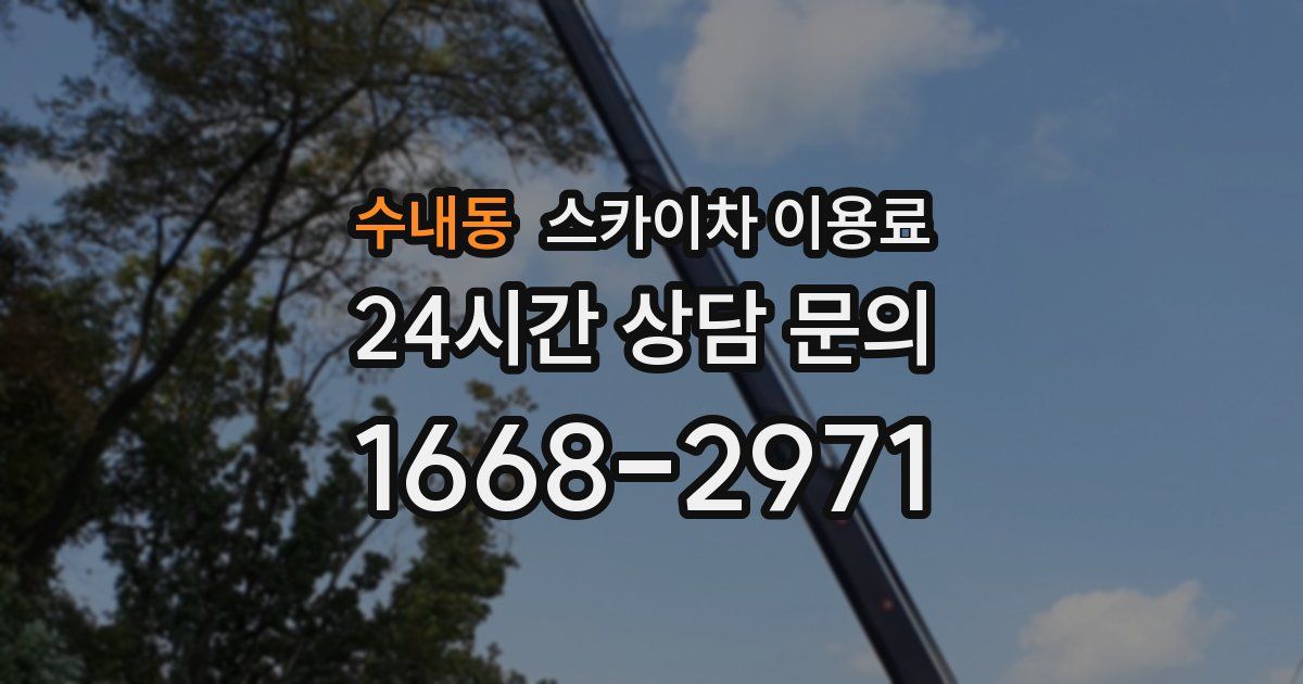 수내동 스카이차 이용료
