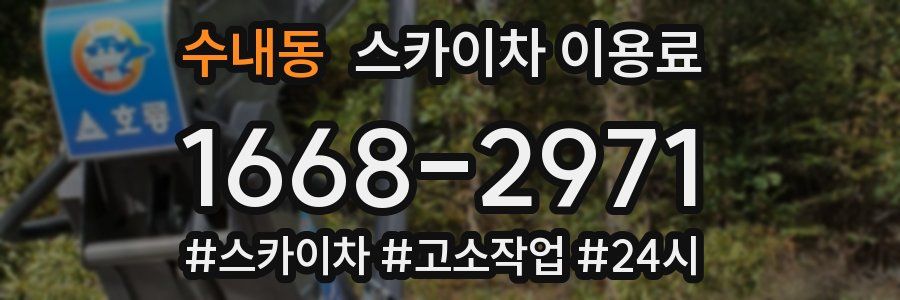 수내동 스카이차 이용료