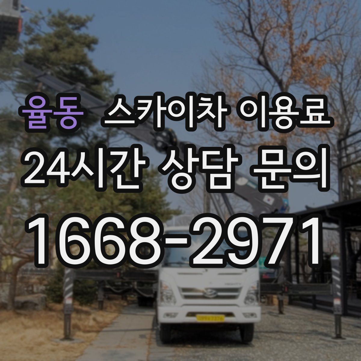 율동 스카이차 이용료