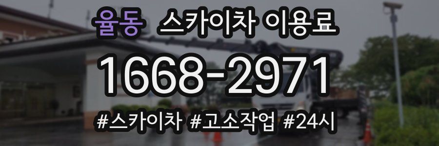 율동 스카이차 이용료