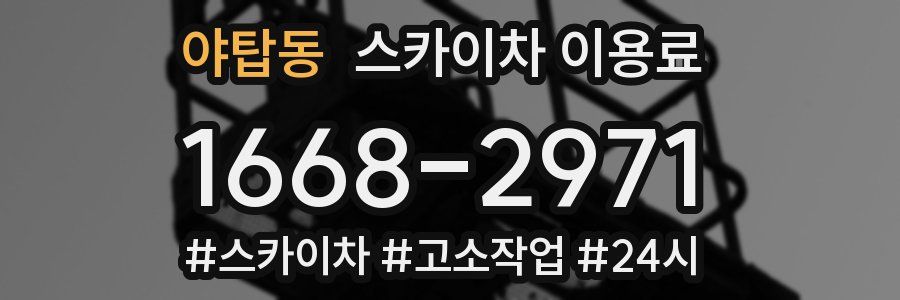 야탑동 스카이차 이용료