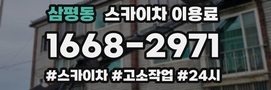삼평동 스카이차 이용료