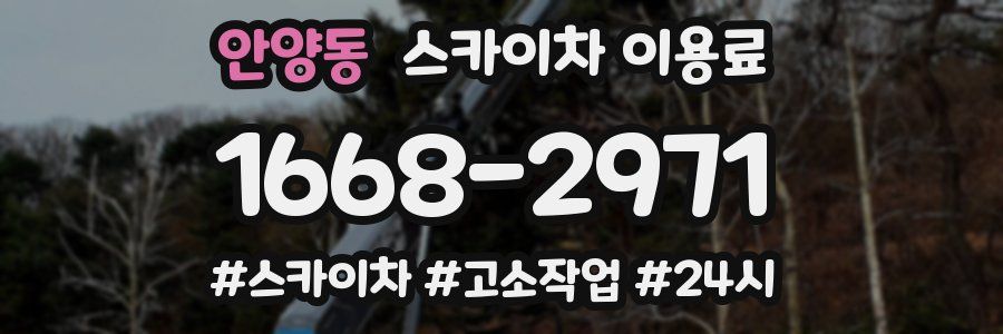 안양동 스카이차 이용료