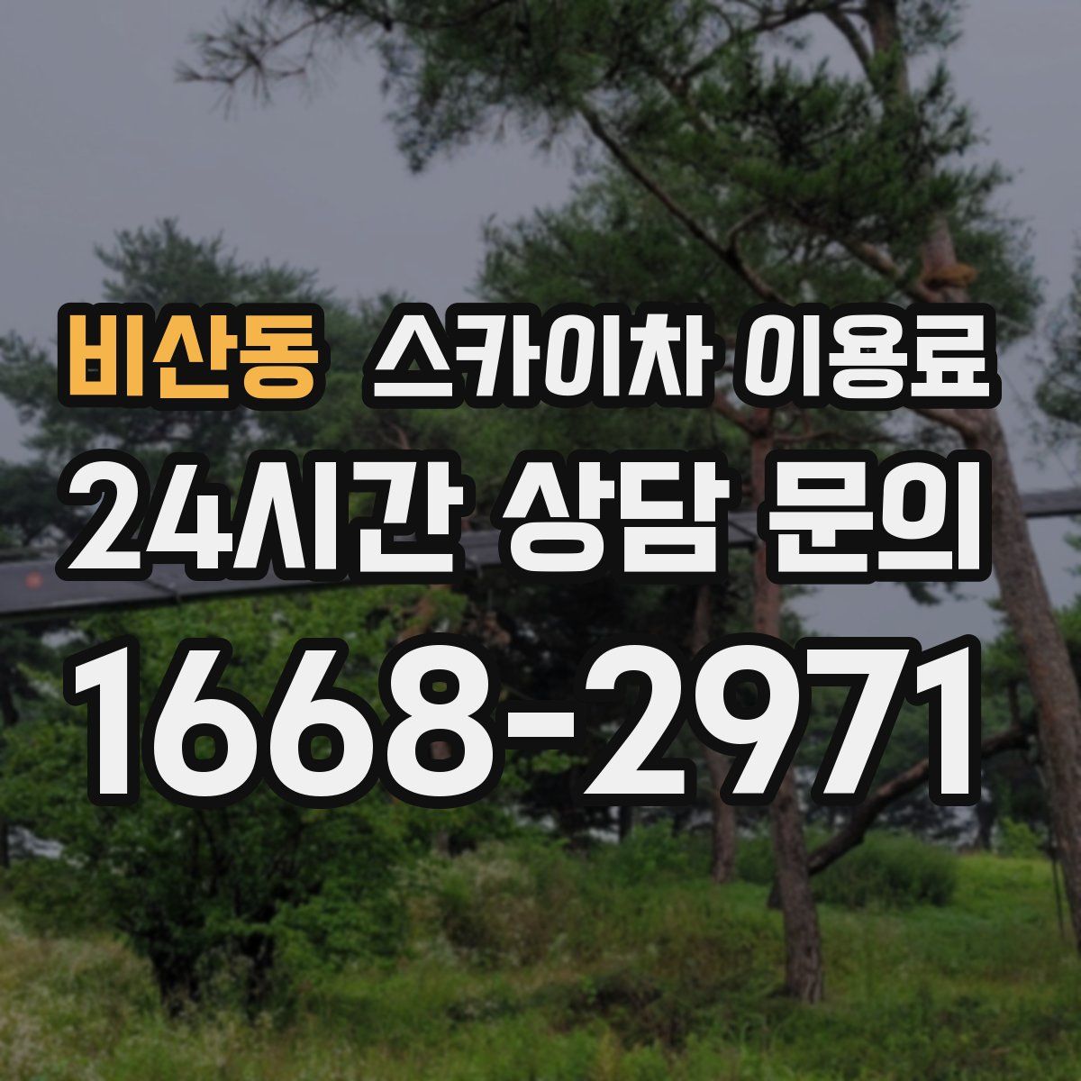 비산동 스카이차 이용료