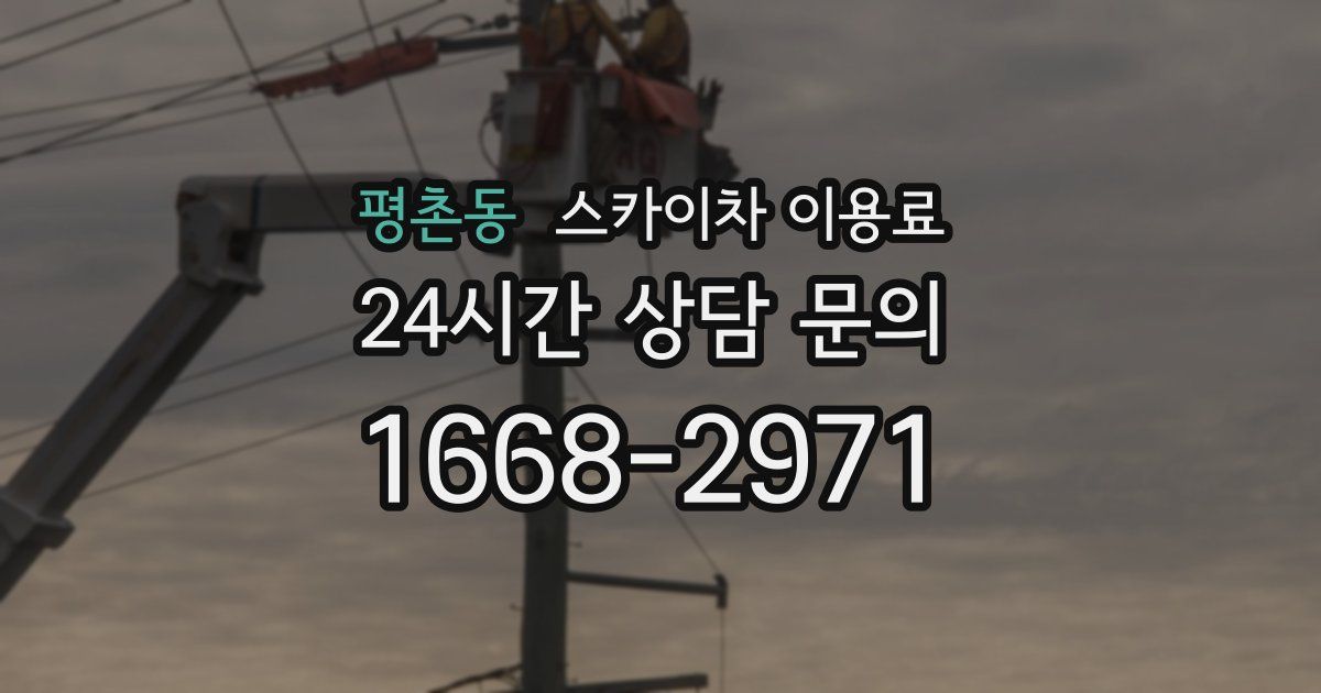 평촌동 스카이차 이용료