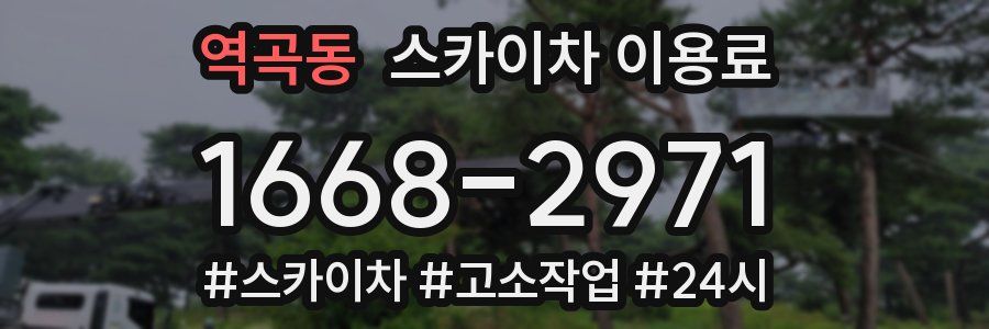 역곡동 스카이차 이용료