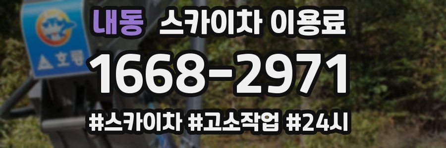 내동 스카이차 이용료