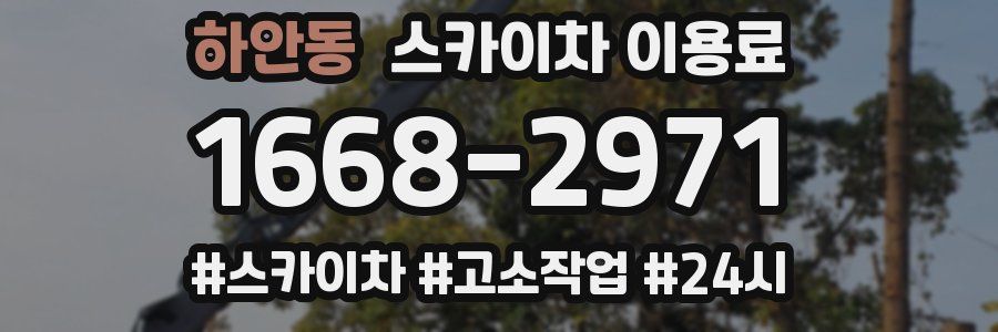 하안동 스카이차 이용료