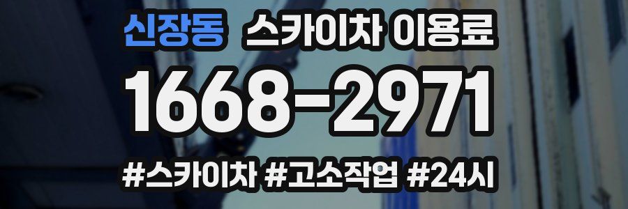 신장동 스카이차 이용료