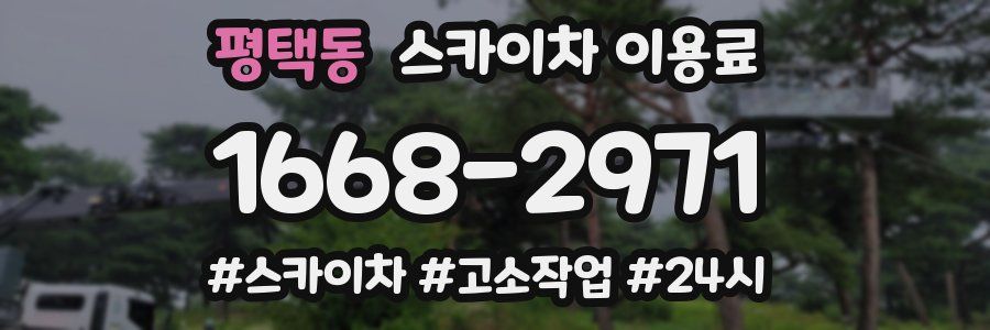 평택동 스카이차 이용료