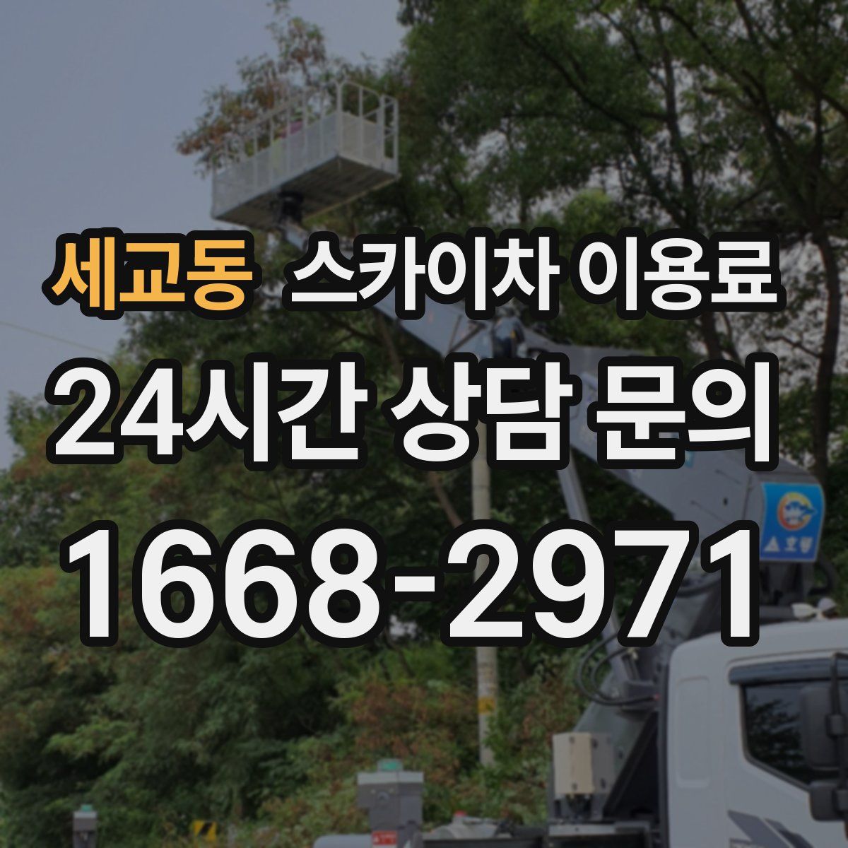 세교동 스카이차 이용료
