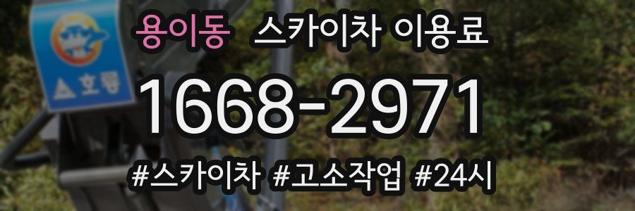 용이동 스카이차 이용료