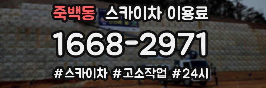 죽백동 스카이차 이용료