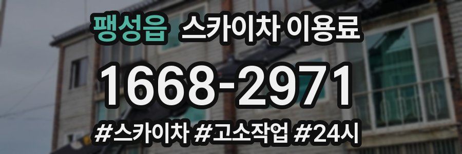 팽성읍 스카이차 이용료