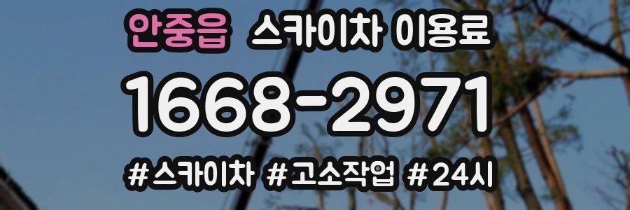 안중읍 스카이차 이용료