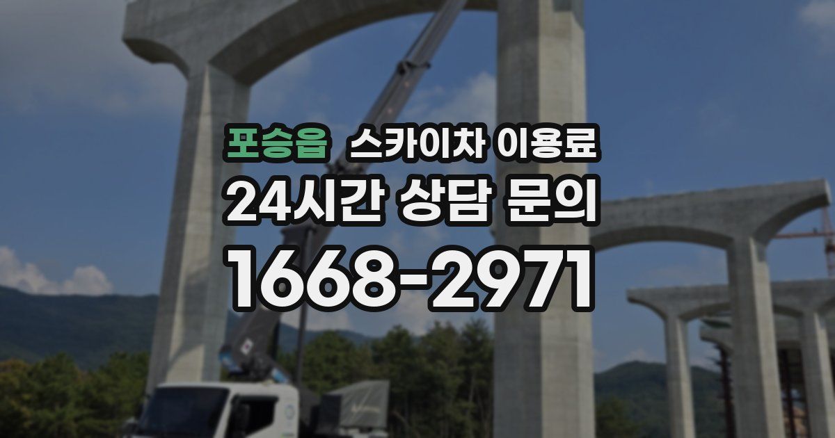 포승읍 스카이차 이용료
