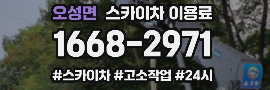 오성면 스카이차 이용료
