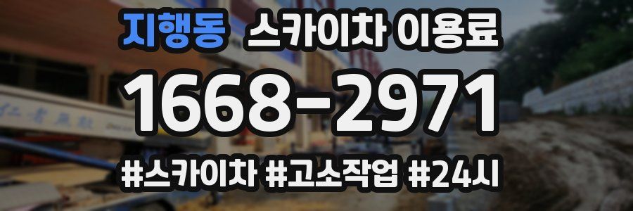 지행동 스카이차 이용료