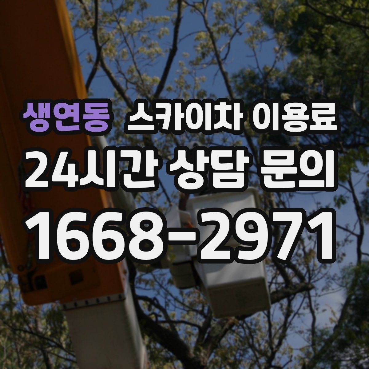 생연동 스카이차 이용료