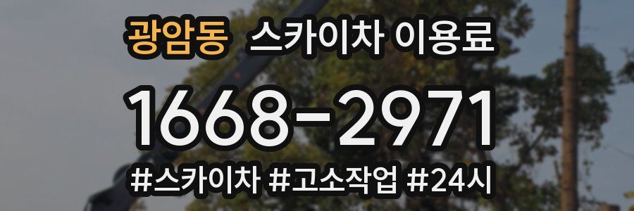 광암동 스카이차 이용료