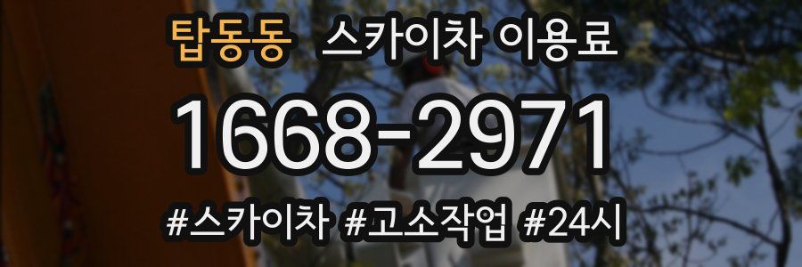 탑동동 스카이차 이용료