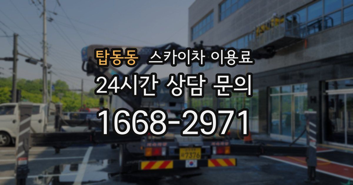 탑동동 스카이차 이용료
