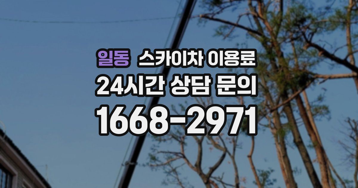 일동 스카이차 이용료