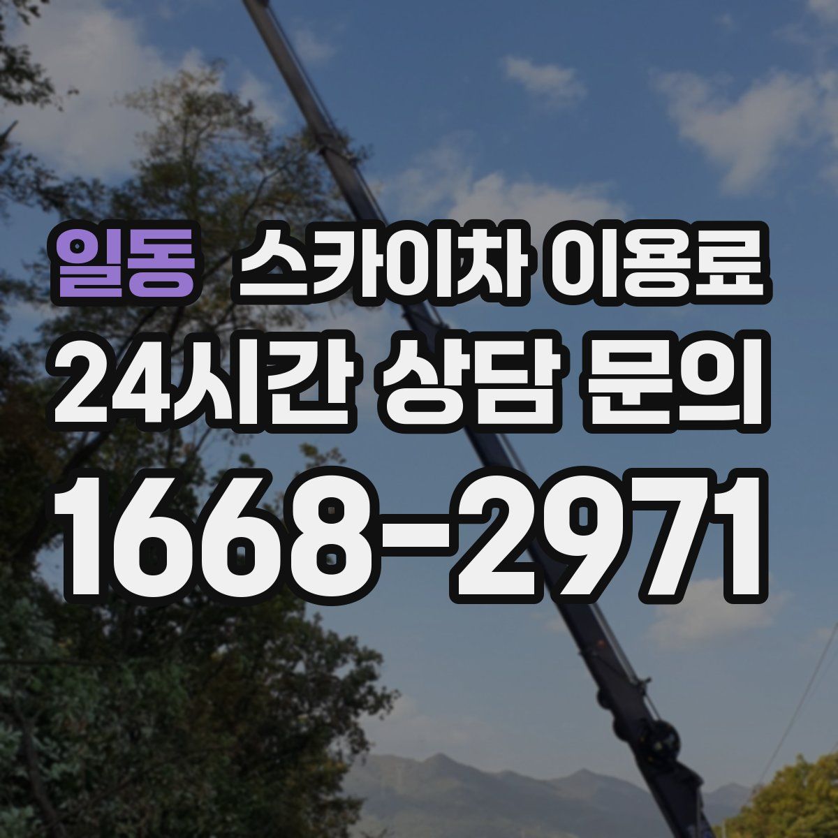 일동 스카이차 이용료