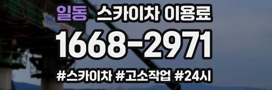 일동 스카이차 이용료