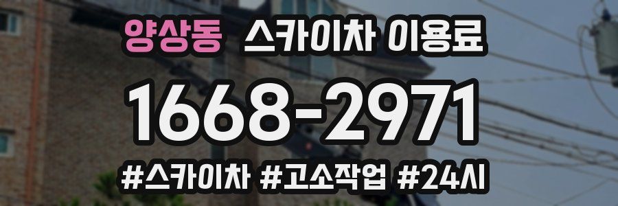 양상동 스카이차 이용료