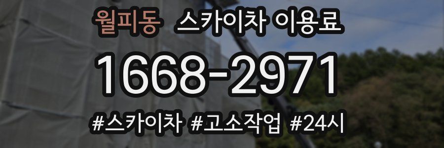 월피동 스카이차 이용료