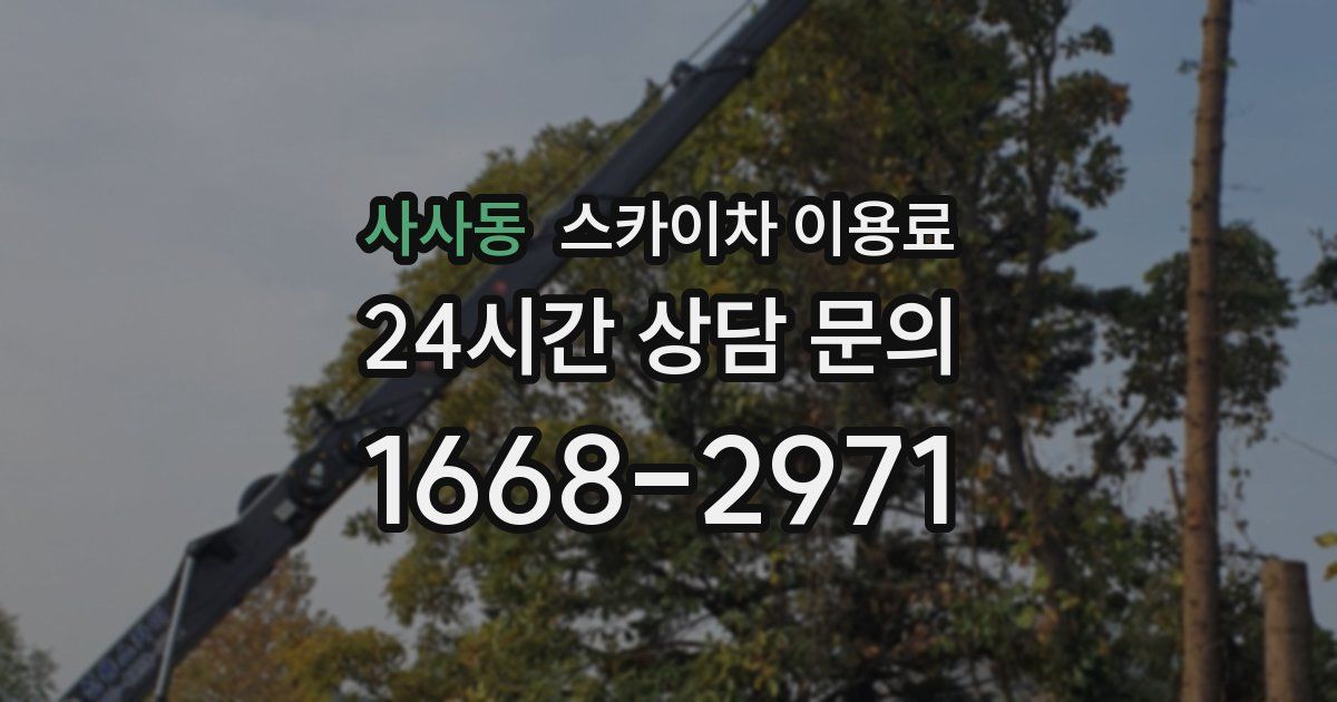 사사동 스카이차 이용료
