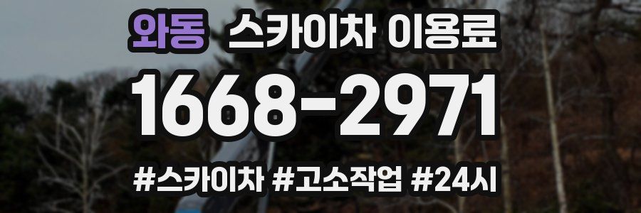 와동 스카이차 이용료