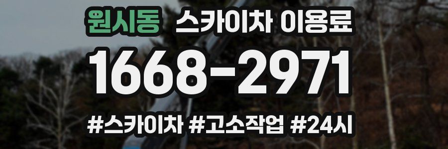 원시동 스카이차 이용료