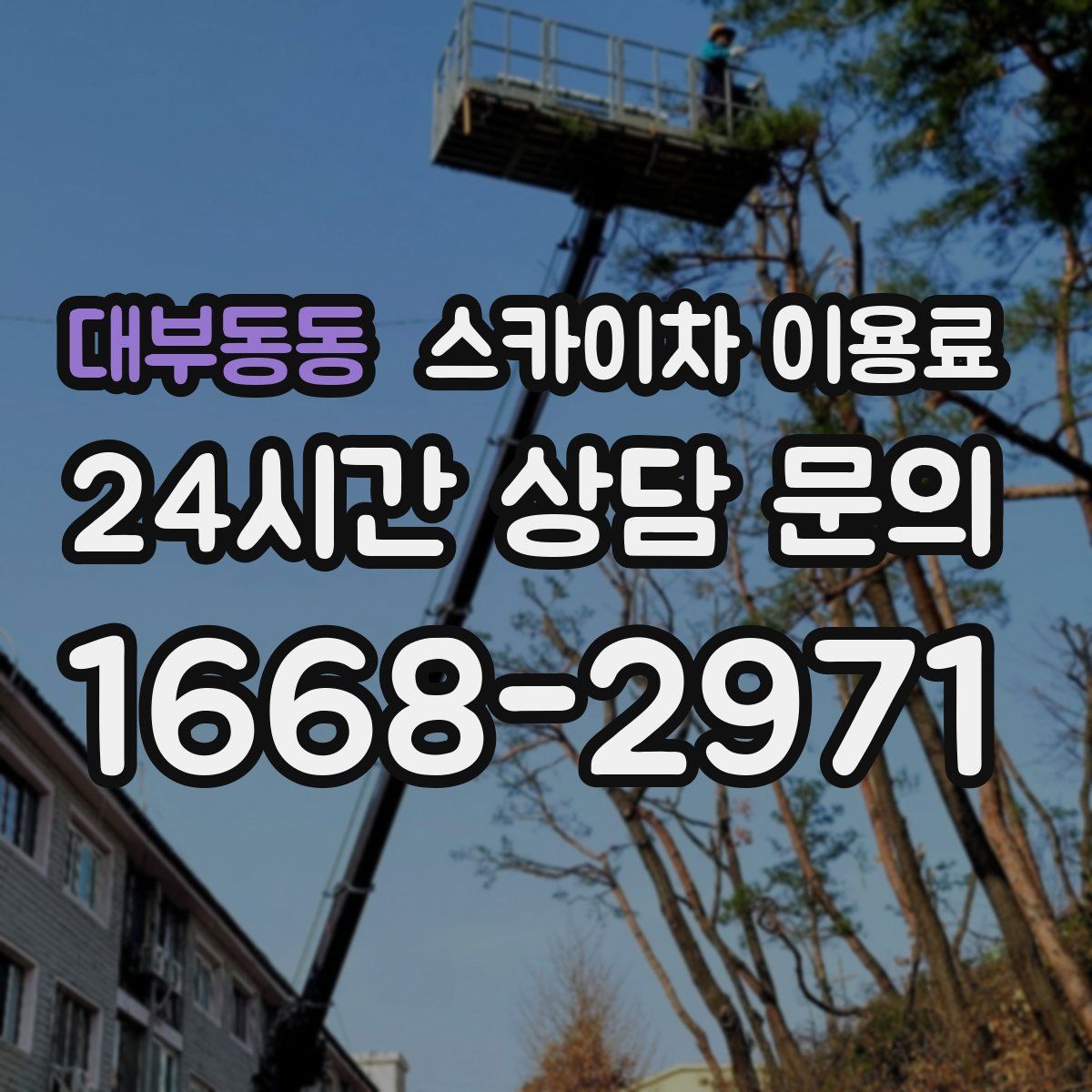 대부동동 스카이차 이용료