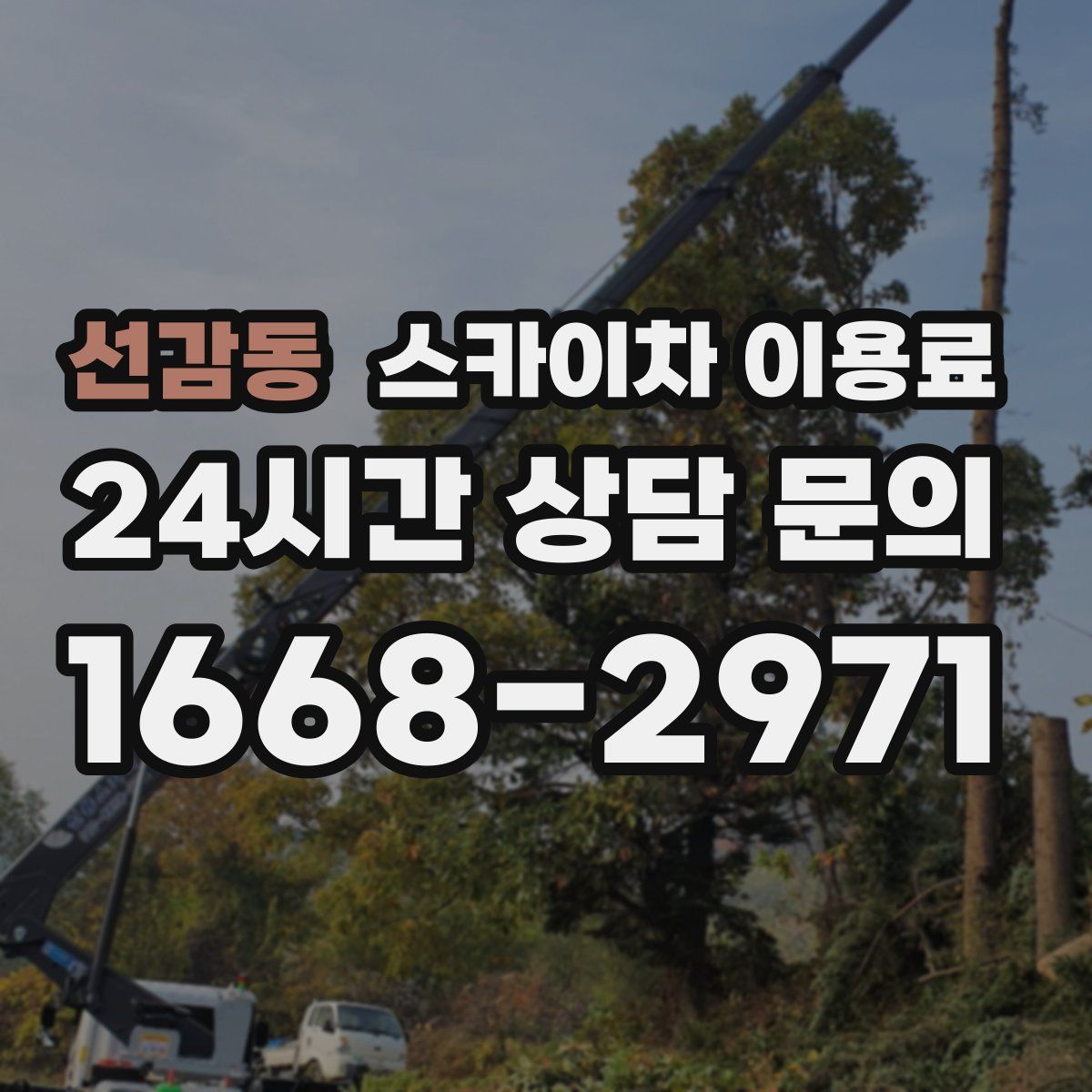 선감동 스카이차 이용료