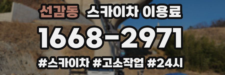 선감동 스카이차 이용료