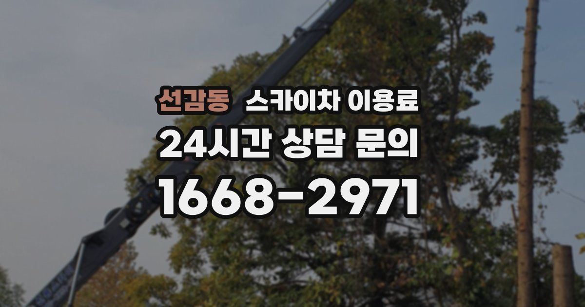 선감동 스카이차 이용료