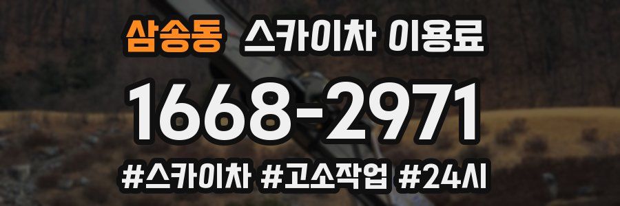 삼송동 스카이차 이용료