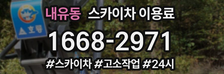내유동 스카이차 이용료